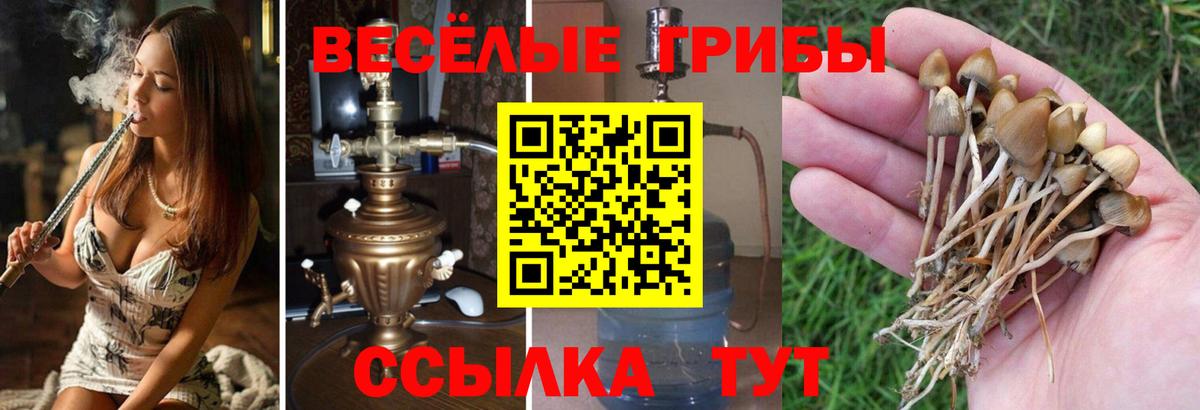 купить наркоту  Вход с VPN  Видное  Галлюциногенные грибы мицелий 